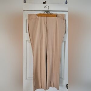 Express Colomnist Barley Boot Pants 18R